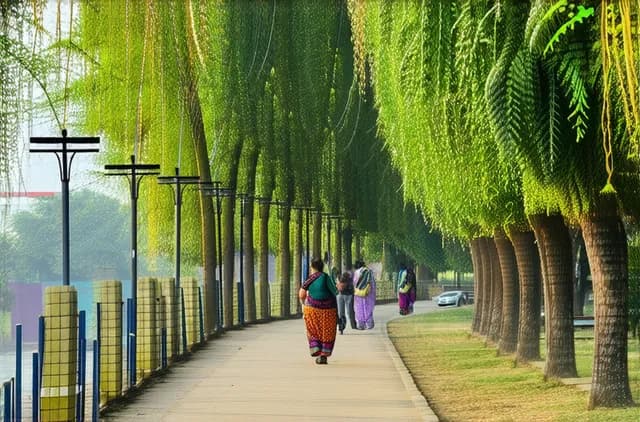 Complete Guide: Activities for Solo Travelers in Chandigarh
